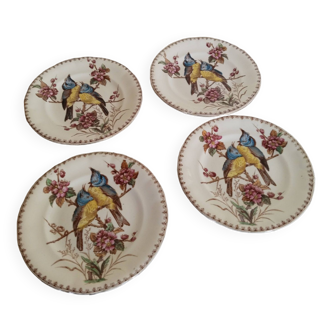 Assiettes  en faïence de Lunéville , modèle Mésange