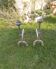 Pair of wrought iron fire dogs