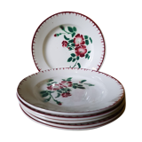 Lot de 6 assiettes plates Sarguemmine