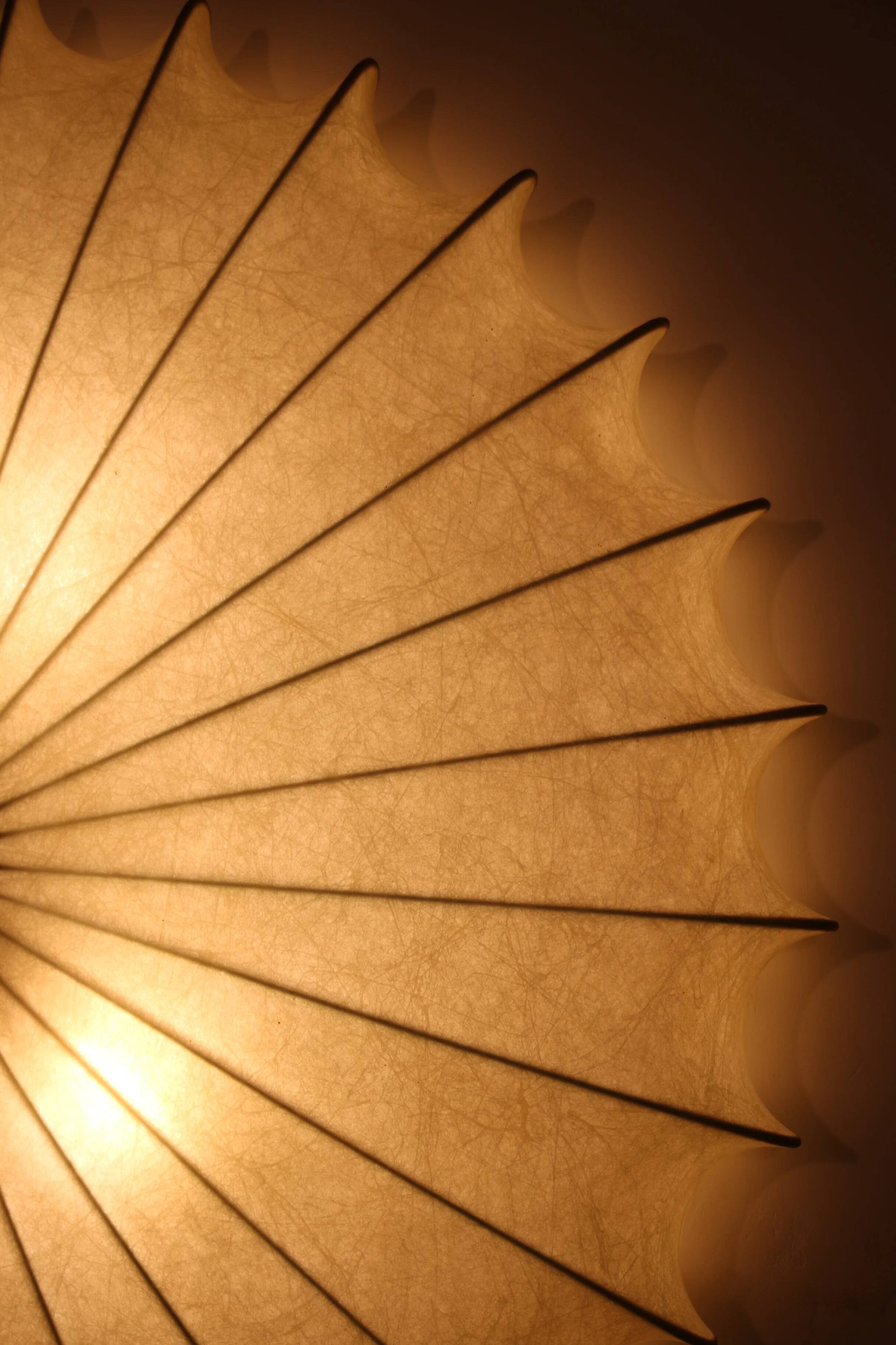 Sculptural cocoon light – mid-century Goldkant wall & ceiling lamp by Friedel Wauer