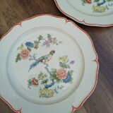 HBCM flat plate