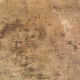 Ancient painting , portrait of a man signed A Delmére and dated 1845