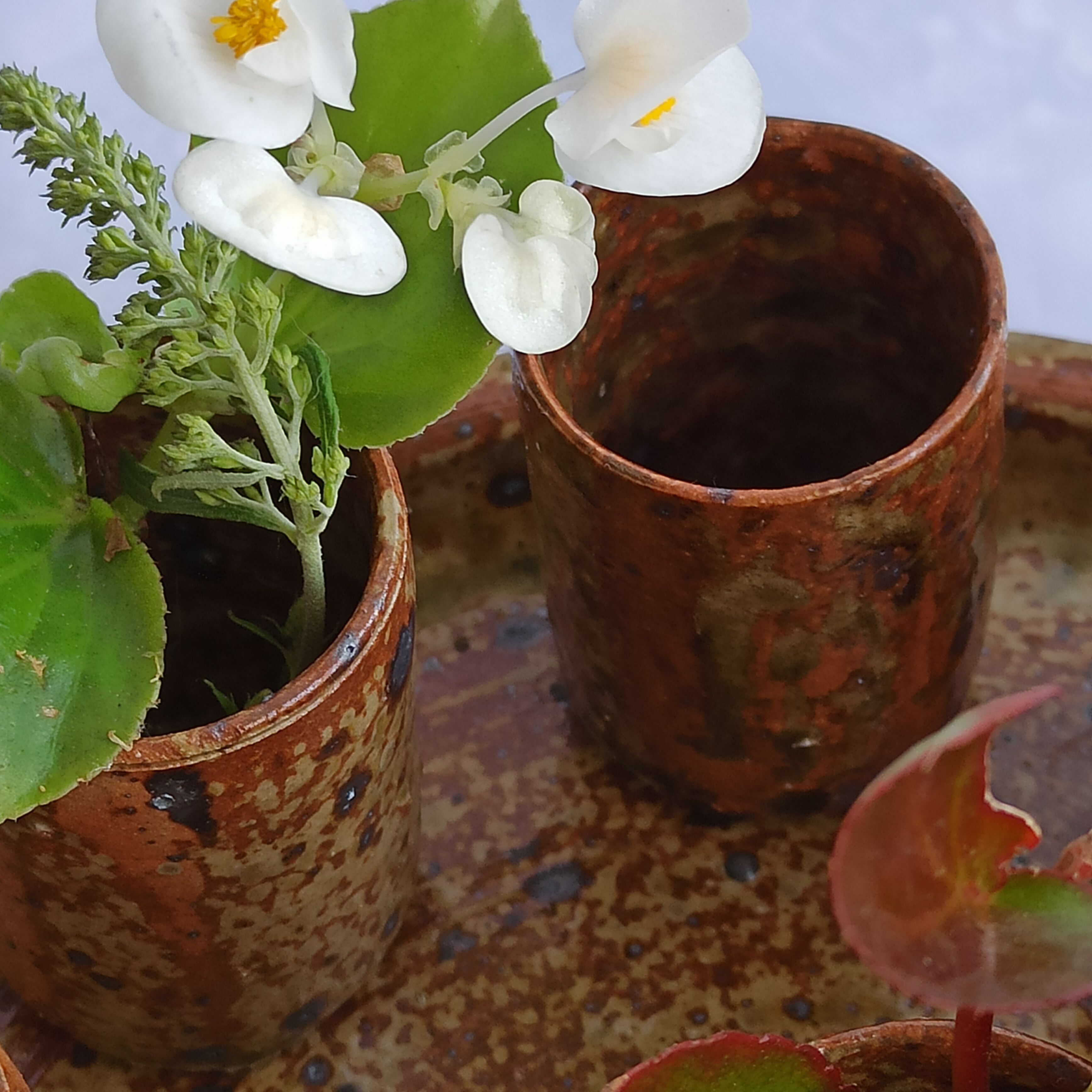 Service La Borne in raw pyrity sandstone