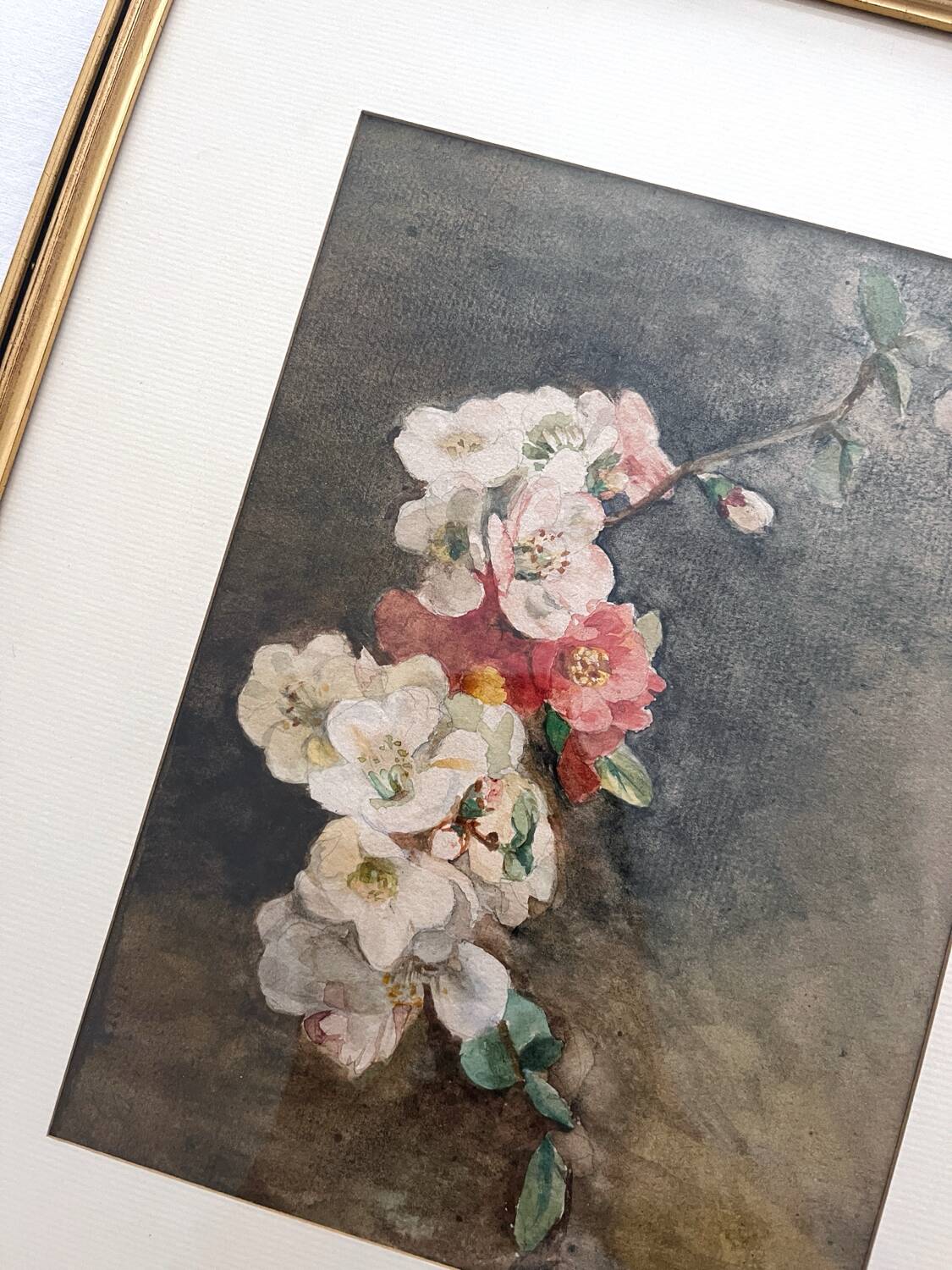 Old watercolour and gilded frame with cherry blossoms.