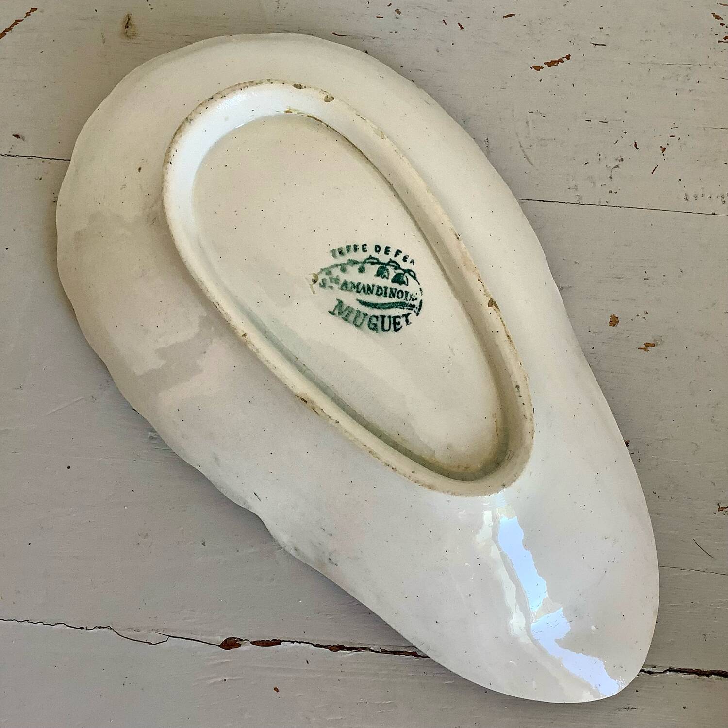 Delight the amandinoise shell