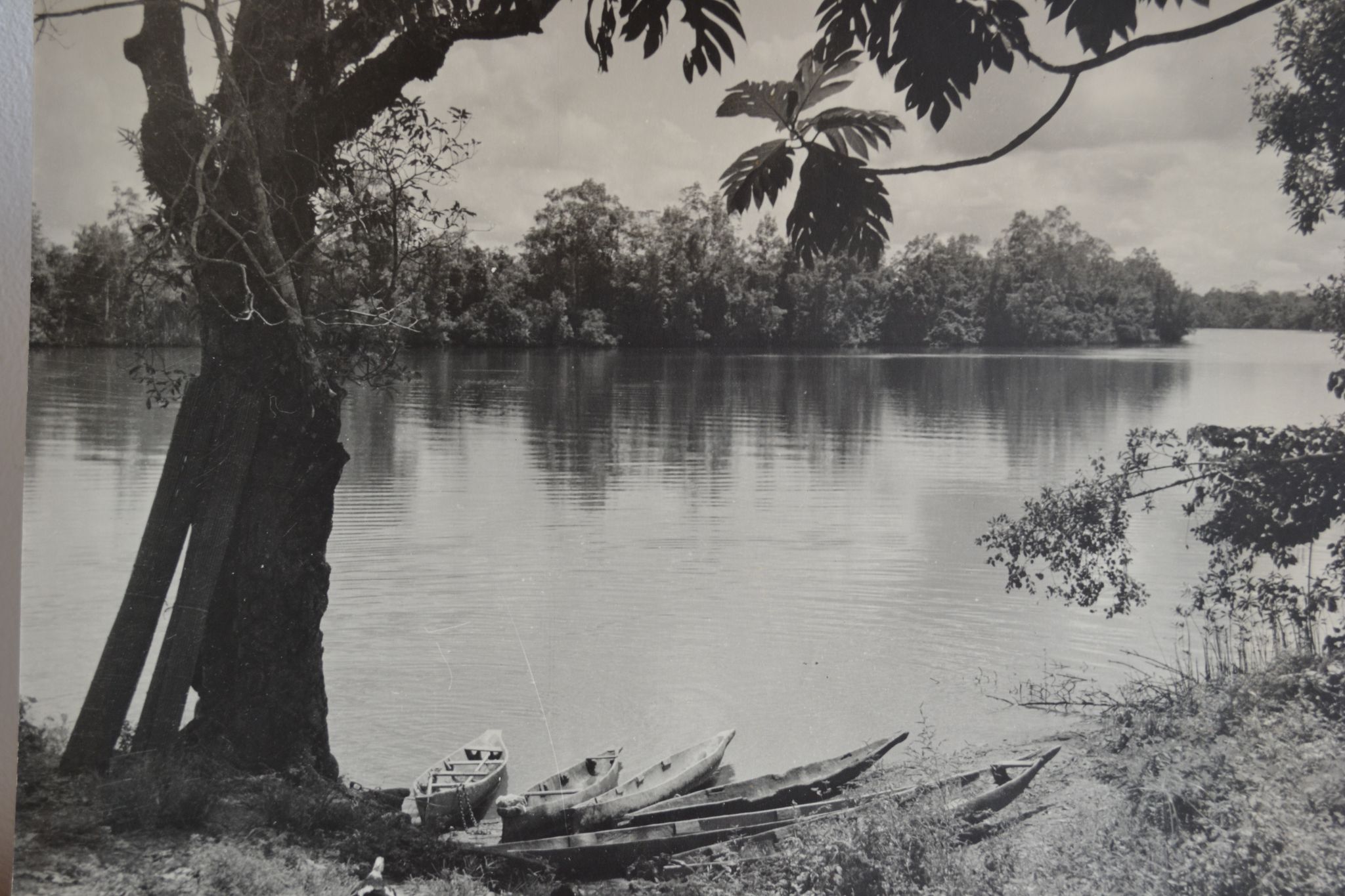 Photo argentique anonyme afrique gabon a vers 1970