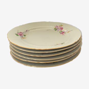Set of 5 porcelain dessert plates pink and purple flowers