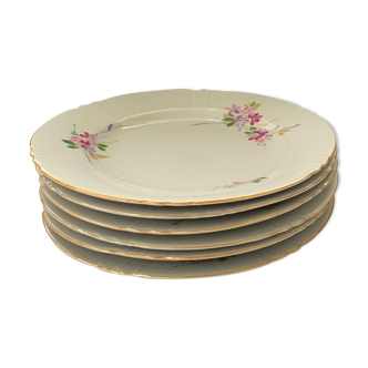 Set of 5 porcelain dessert plates pink and purple flowers
