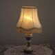 French Vintage Decorative Silver Metal and Porcelain Shaded Table Lamp