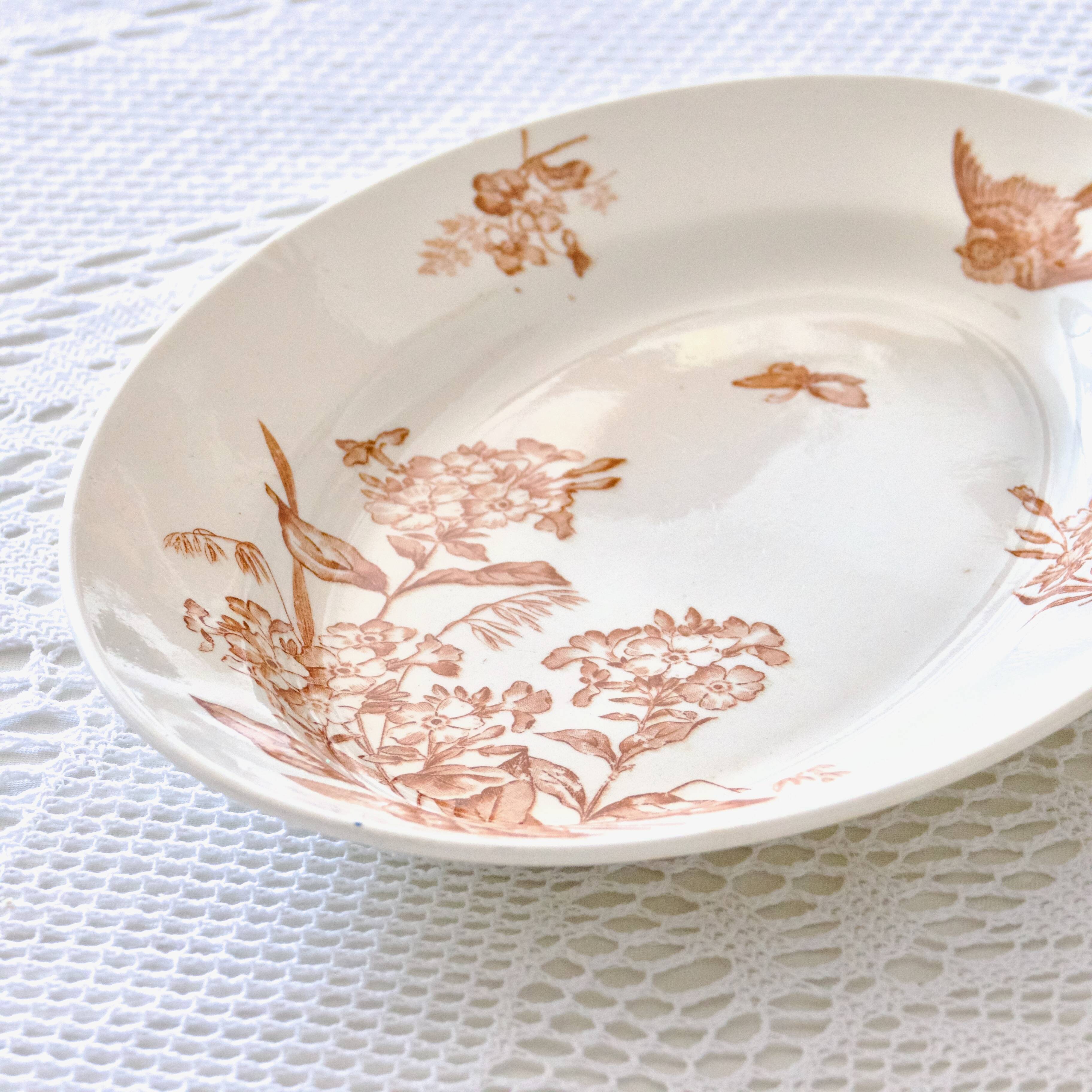 Large oval dish 19th century Longwy iron earth sepia "Botanical" bird