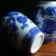 Pair of blue and white chinese vases