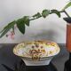 Vintage bowl Keraluc Quimper Decor G6 by Jos Le Corre