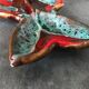 Vallauris compartmentalized dish fish shape polychrome ceramic 47 cm