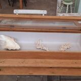 Old display case