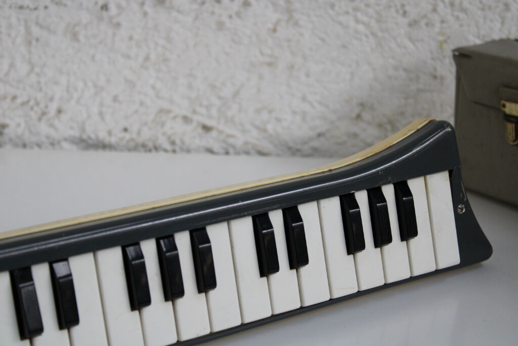 Musical instrument Melodica