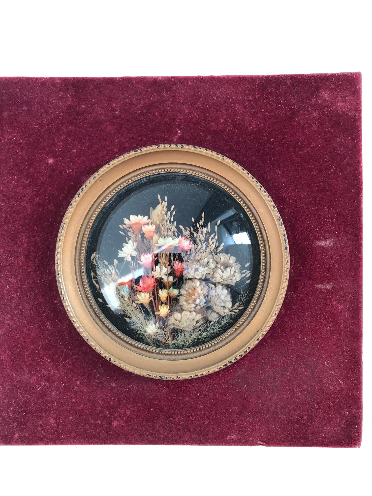 Bouquet of dried flowers - Bordeau velvet frame - bulging glass