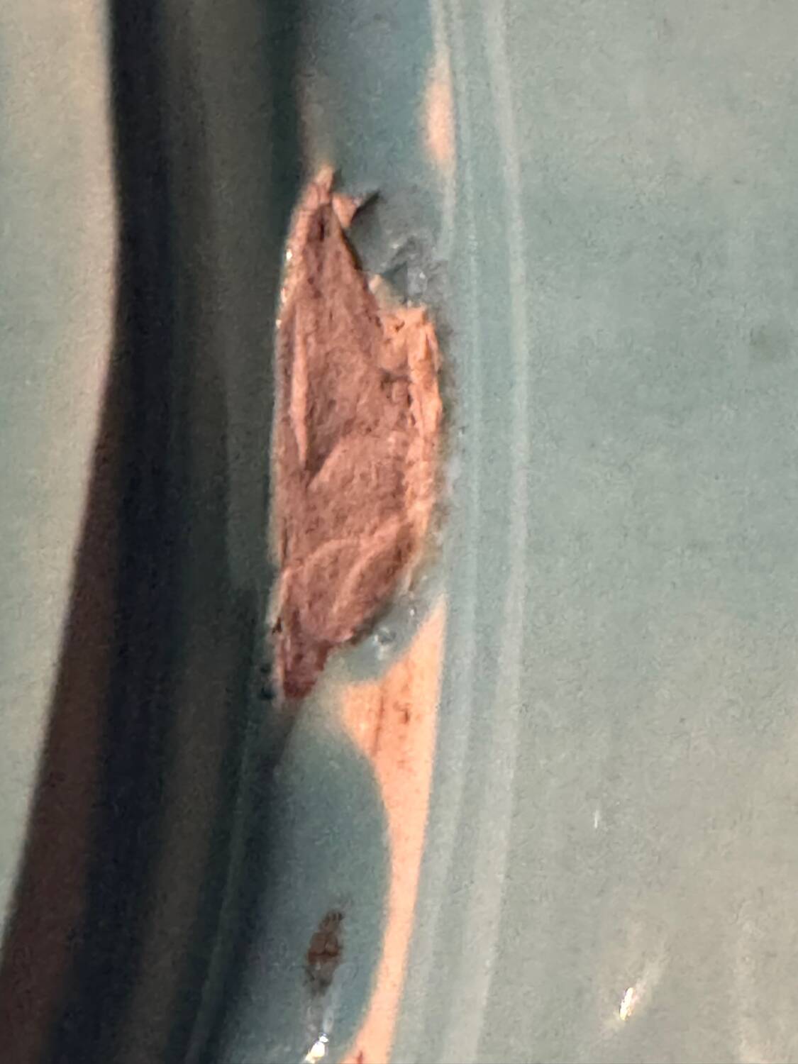 Asparagus and artichoke service