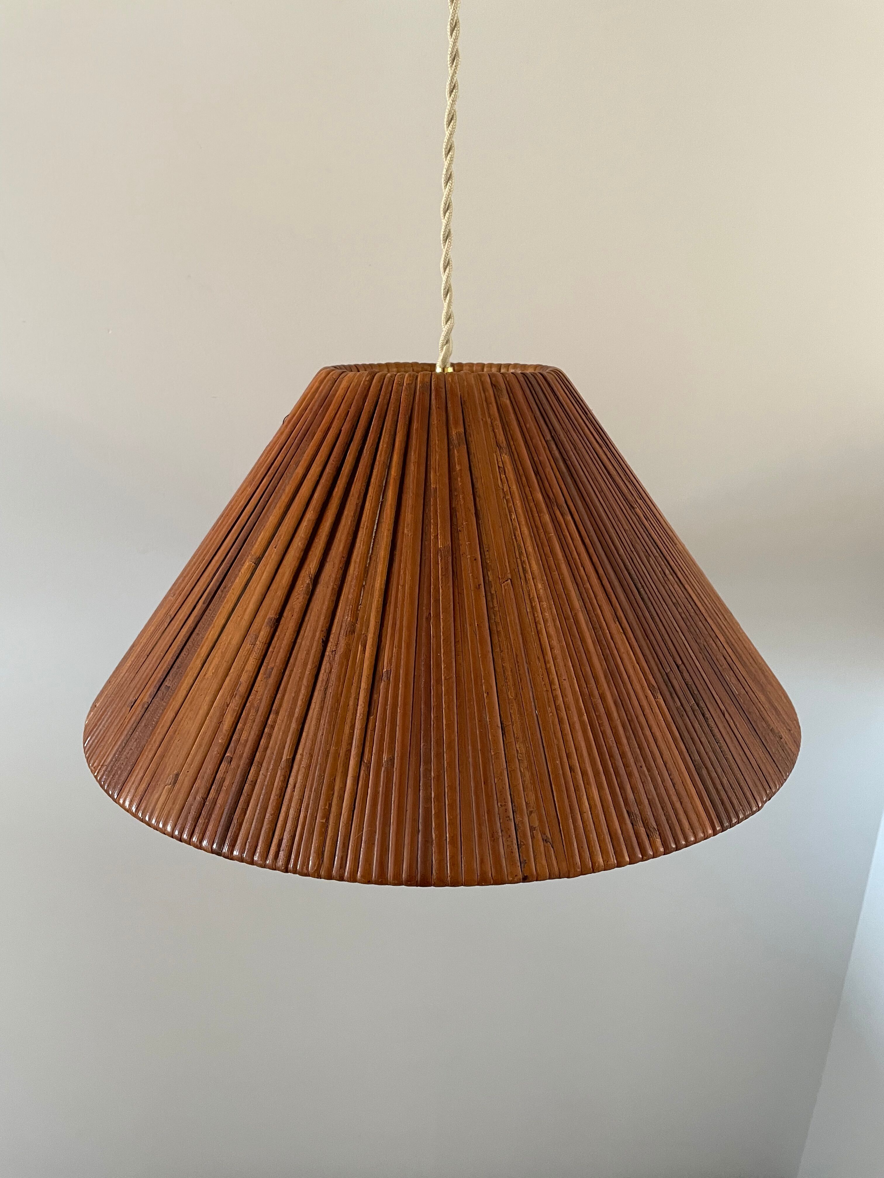 Electrified bamboo rattan suspension