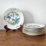 Ara plate set