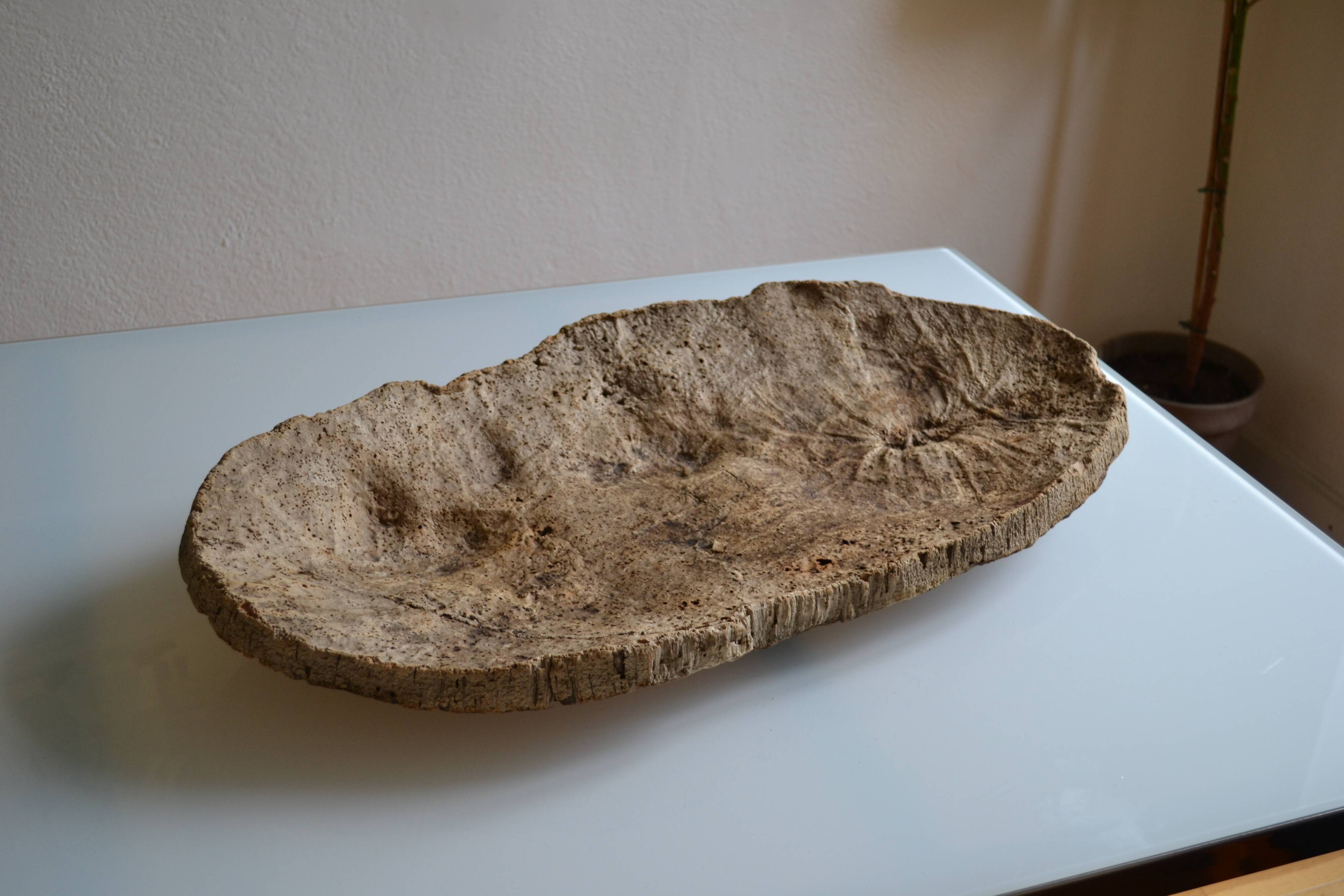 Provençal couasse giant dish in cork oak bark 72 / 37 cm