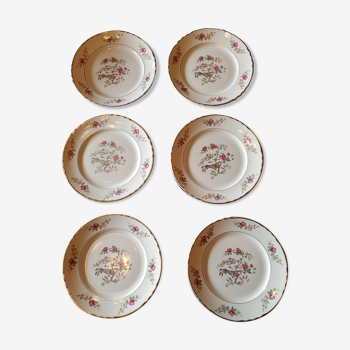 6 assiettes plates