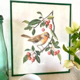 Antique engraving bird in metal frame