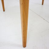 Mid-century conference table/ Dřevotvar, 1960's