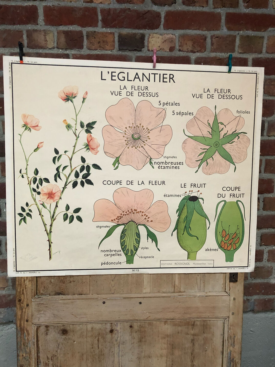 Old double-sided Rossignol school poster