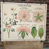 Old double-sided Rossignol school poster