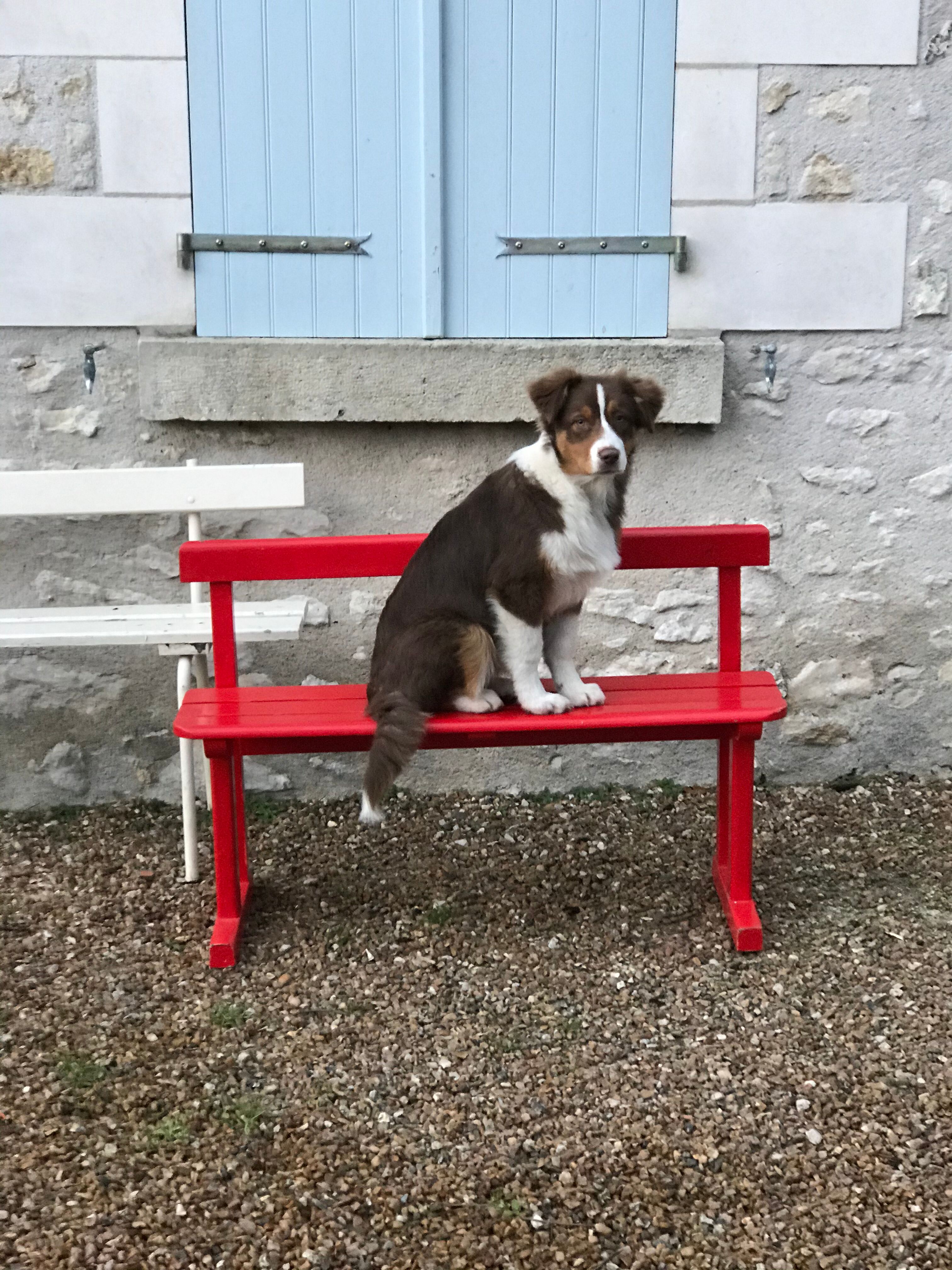 Red old schoolboy bench
