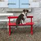 Red old schoolboy bench