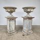 Large pair of 19th-century cast iron basins with vine decoration.