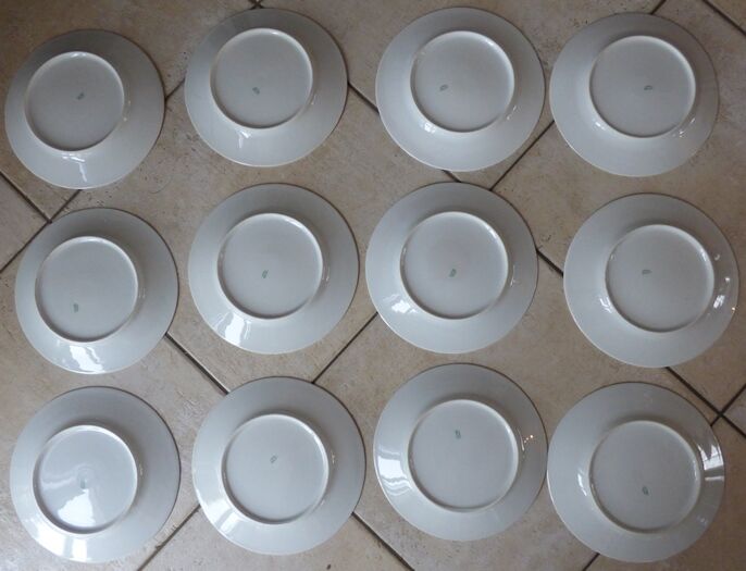 12 Plates pattern flowers in Limoges porcelain