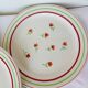 5 flat plates of Gien model Marie Laure 220536