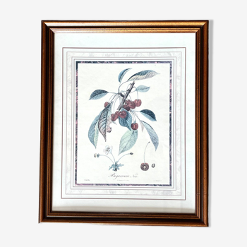 Botanical frame bigarreaux cherry branch