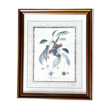 Botanical frame bigarreaux cherry branch