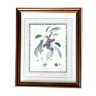 Botanical frame bigarreaux cherry branch