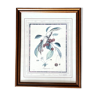 Botanical frame bigarreaux cherry branch