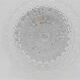 Round ceiling light