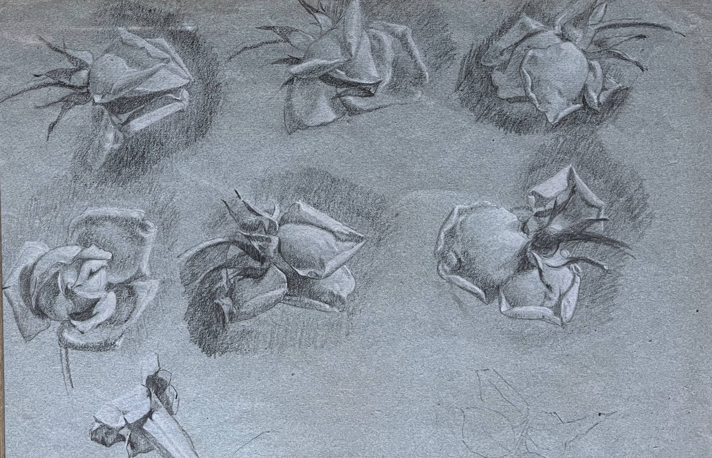 Painting Botanical flower studies Roses Jasmine 19th century + frame