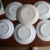 Set of 6 mismatched flat plates with vintage flowers