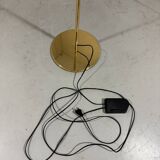 Viktor Frauenknecht brass Haloprofil 878HR floor lamp Swiss Lamps