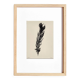 Acrylic painting on black feather paper signed Eawy.