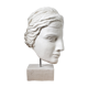 Greek woman's head in plaster