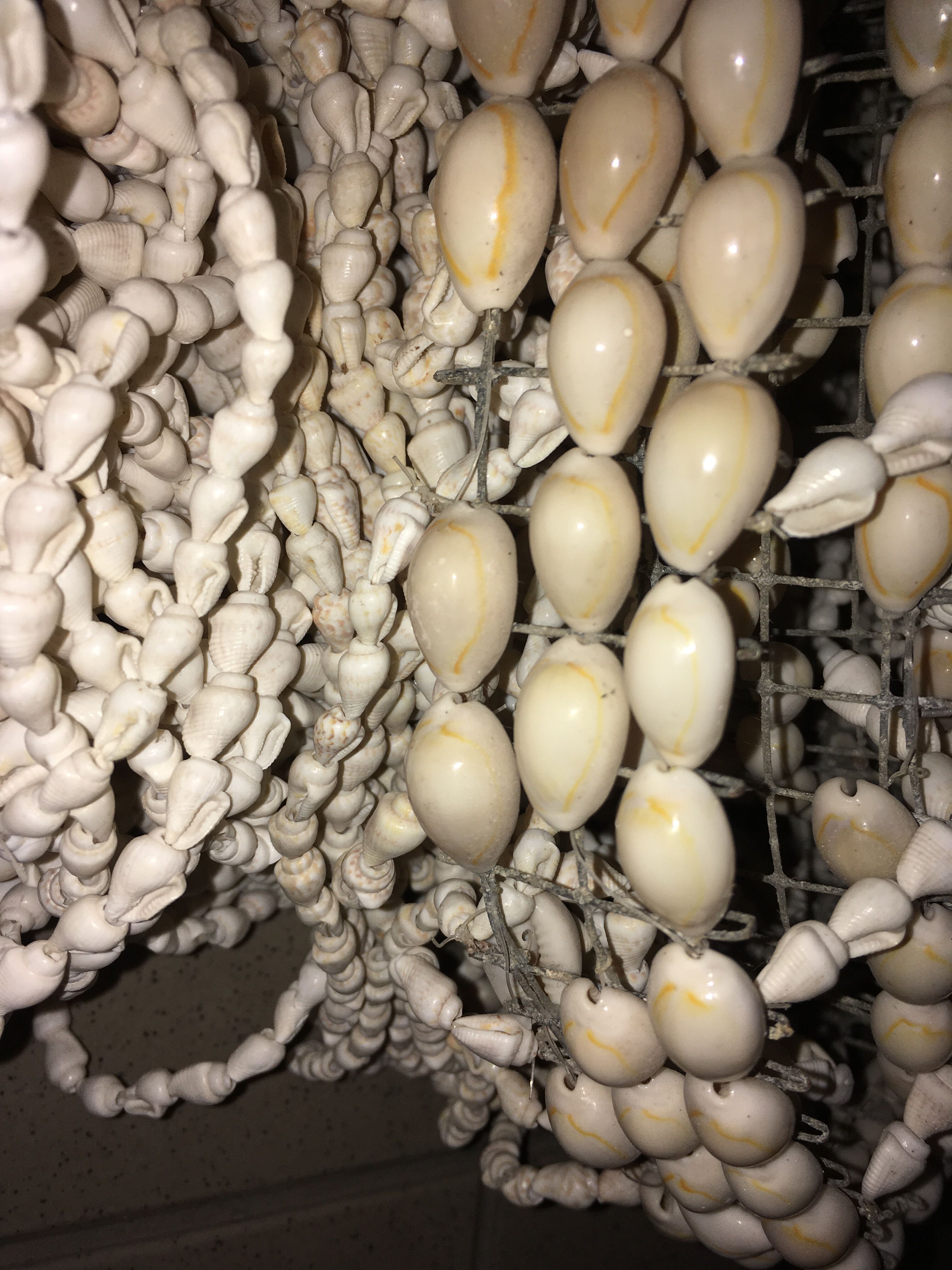 Hanging lampshade in cauri shells