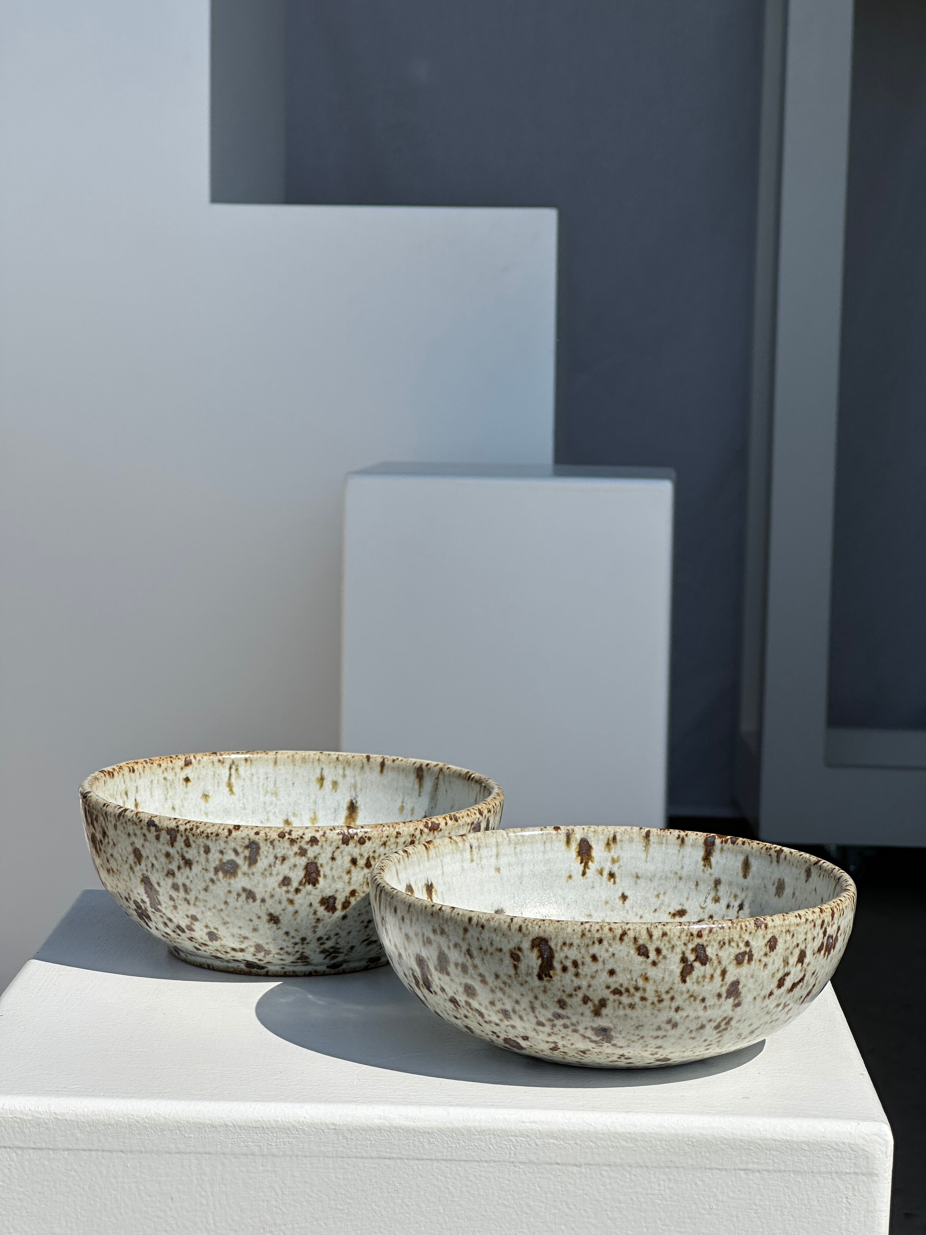 Duo of speckled ceramic bowls