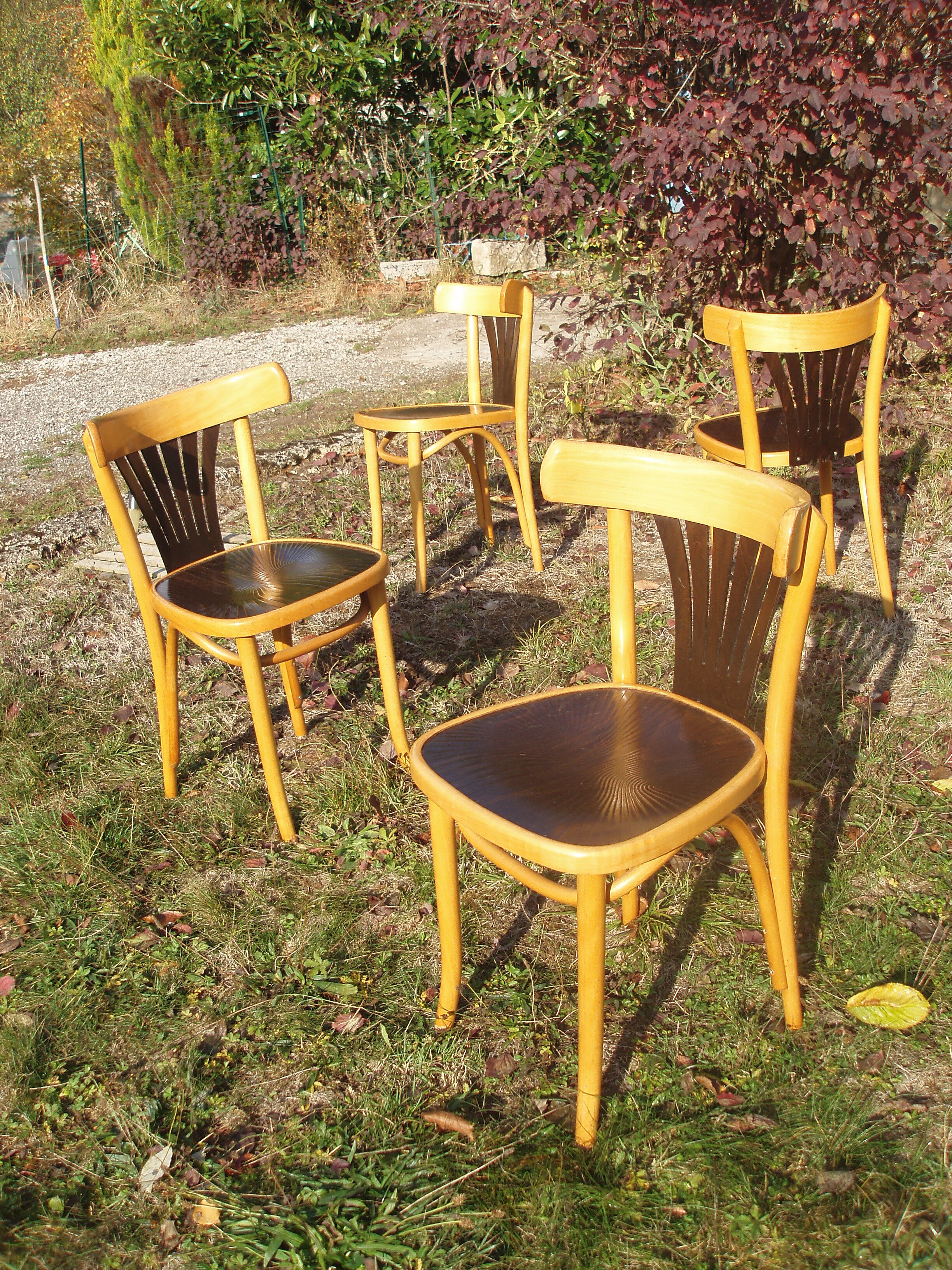 Set of 4 chairs wooden coffee multicore gold and black