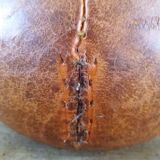 Fitness leather ball