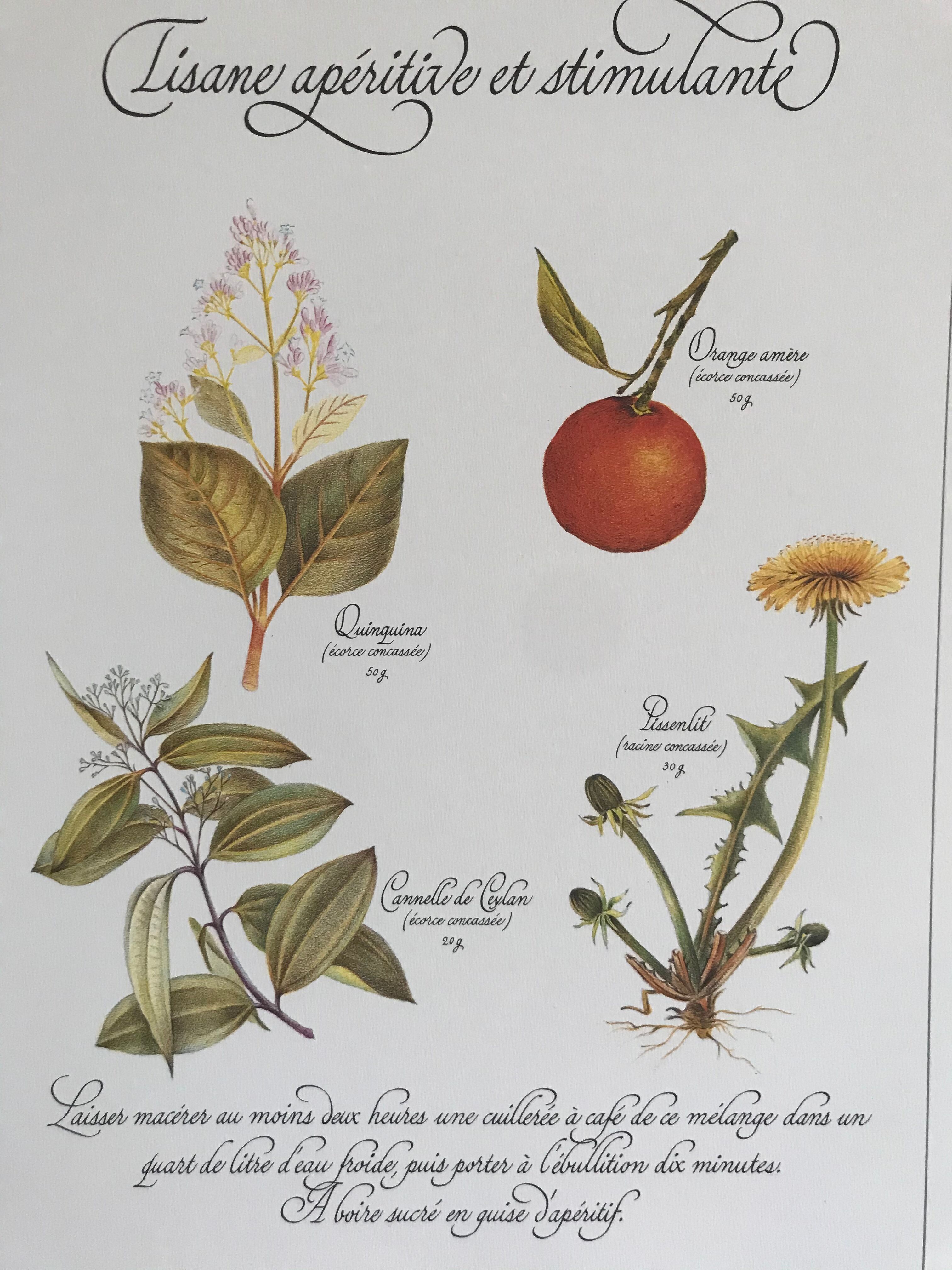 Vintage botanical plank