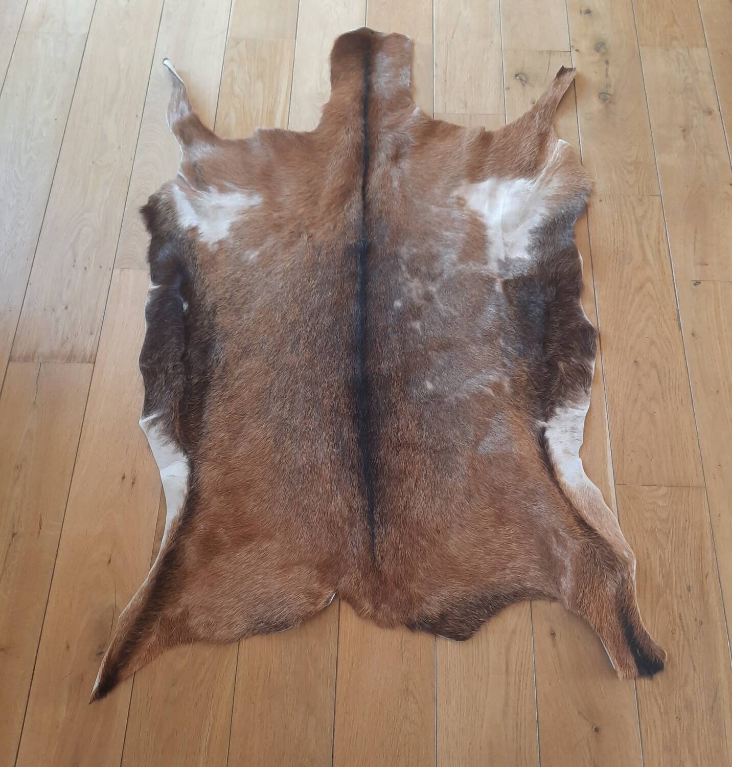 Goat skin 135 cm x 88 cm